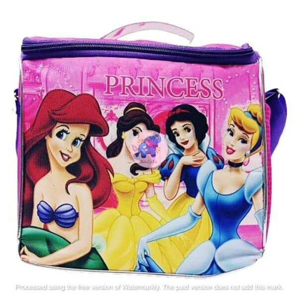 Leakproof Portable Insulated 2 Layer Tiffin Box Bag- Princess