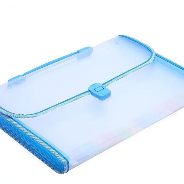 Briefcase Style Transparent File Folder